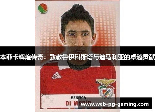 本菲卡辉煌传奇：致敬鲁伊科斯塔与迪马利亚的卓越贡献