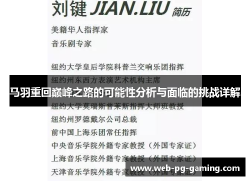 马羽重回巅峰之路的可能性分析与面临的挑战详解