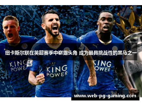 纽卡斯尔联在英超赛季中崭露头角 成为最具挑战性的黑马之一