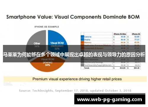 马莱莱为何能够在多个领域中展现出卓越的表现与领导力的原因分析 马莱莱为何能够在多个领域中展现出卓越的表现与领导力的原因分析