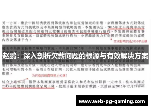 赵鹏：深入剖析欠薪问题的根源与有效解决方案