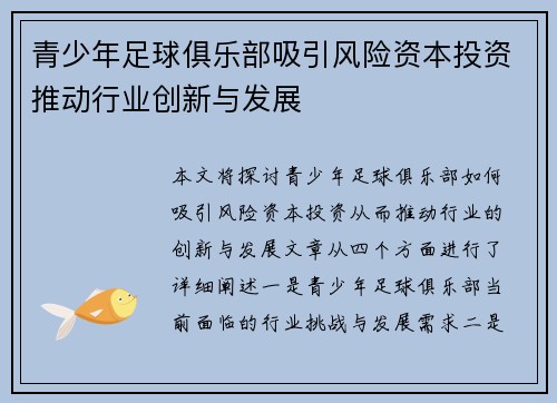 青少年足球俱乐部吸引风险资本投资推动行业创新与发展